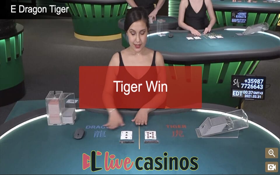 SA Gaming Dragon Tiger Live