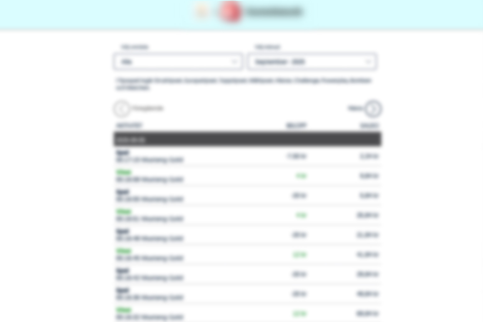 Blurred screenshot of a real online casino used during LiveCasinos testing