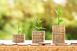 How to manage your bankroll when playing live casino games