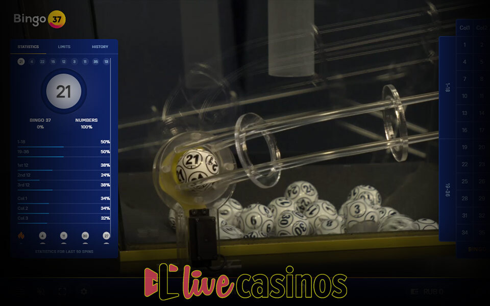 Live European Bingo Roulette