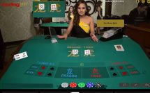 Bodog Dragon Tiger