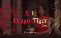 Dragon Tiger (Evolution)