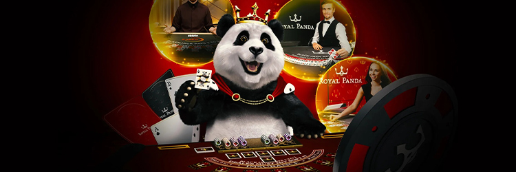 Royal Panda Invites All Blackjack Players to Join the Live Casino Action