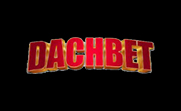 Dachbet Casino