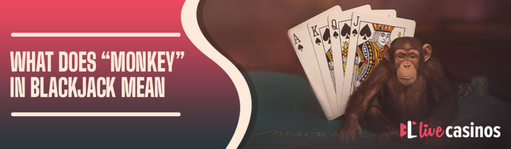 What Does “Monkey” in Blackjack Mean?