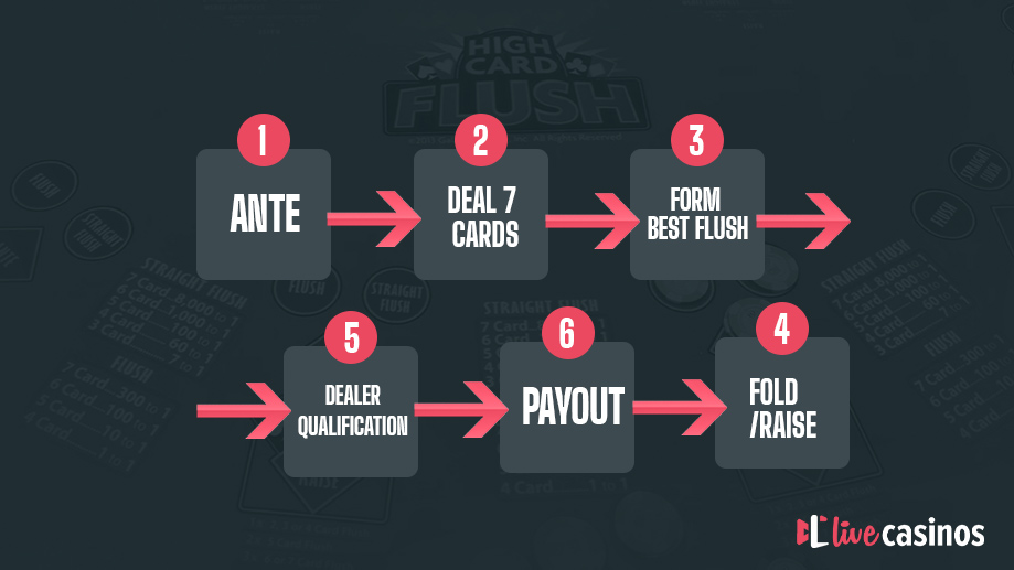 high card flush poker guide