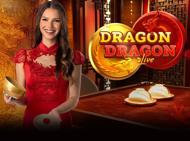Dragon Dragon Review