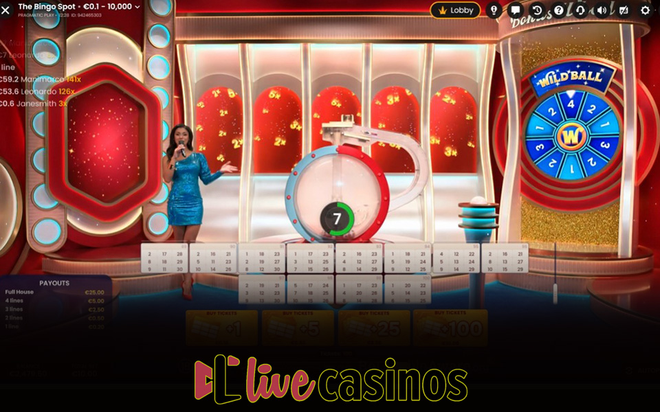 Bingo Spot Review